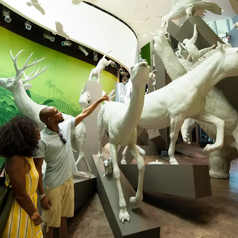 Ciudad de Panamá vista adicional