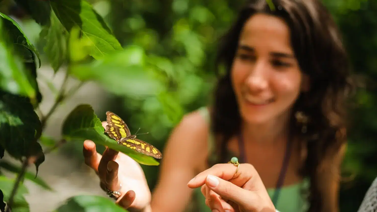 Niña con mariposa